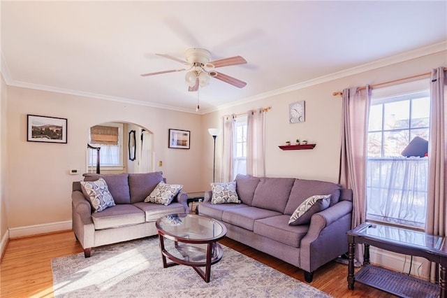 living room with a healthy amount of sunlight, ceiling fan, crown molding, and wood-type flooring