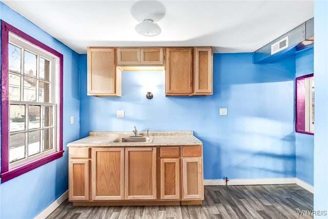 kitchen featuring dark hardwood / wood-style floors and sink