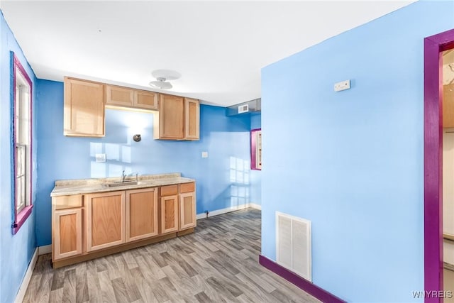 kitchen featuring light wood-type flooring and sink