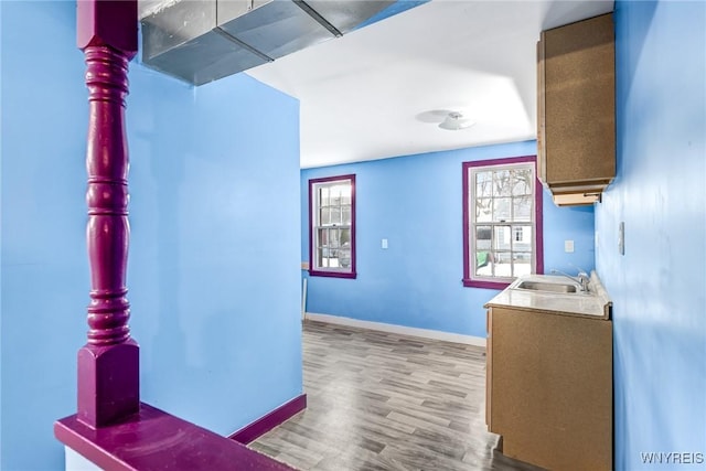 kitchen with light hardwood / wood-style floors and sink