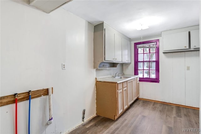 kitchen with white cabinets, wood-type flooring, and sink