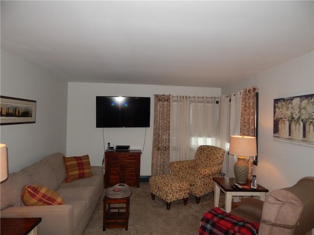 living room with carpet floors