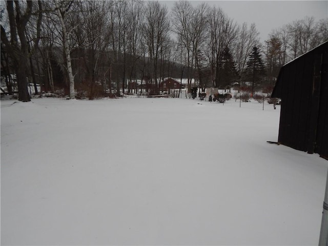 view of yard covered in snow