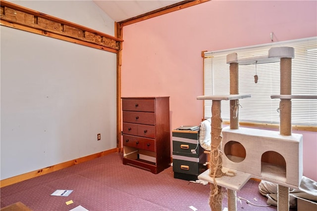 carpeted office space with vaulted ceiling