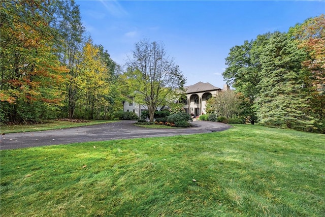 view of property hidden behind natural elements featuring a front yard