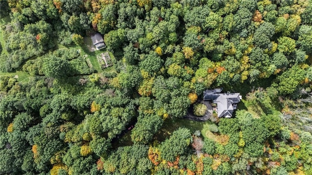 2119 Spencer Hill Rd, Erwin, NY 14830 - aerial view of property's location featuring a forest