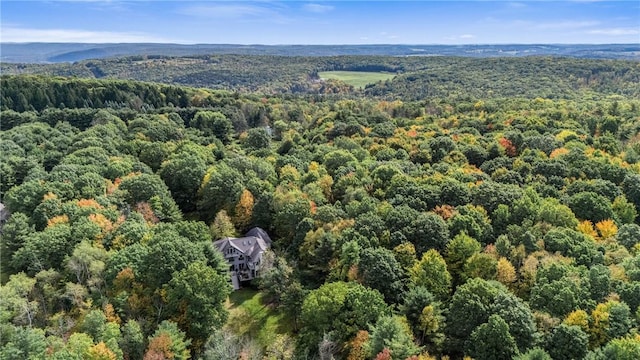 2119 Spencer Hill Rd, Erwin, NY 14830 - drone / aerial view of a heavily wooded area