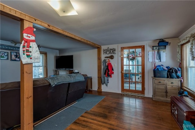 bedroom featuring dark hardwood / wood-style flooring