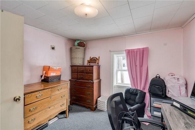 carpeted office featuring crown molding