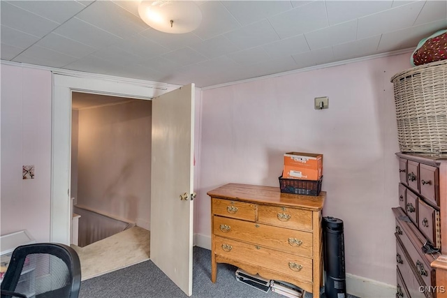 bedroom featuring carpet floors and ornamental molding