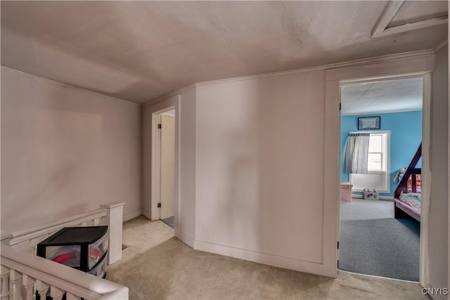 bonus room with light colored carpet