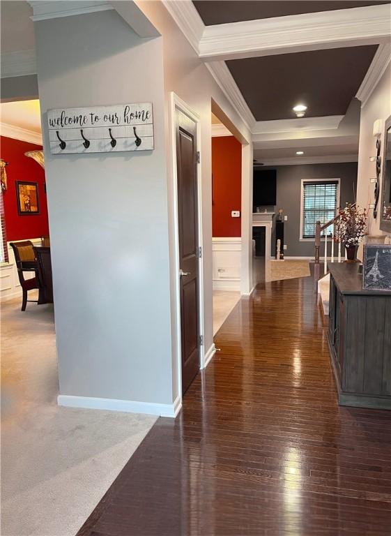 hallway with dark hardwood / wood-style flooring and crown molding