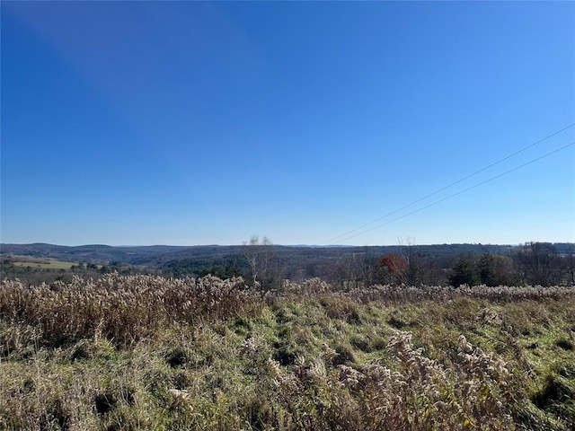 155 Puckerville, Oxford, NY 13733 - mountain view
