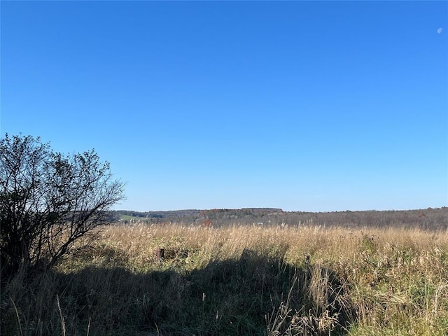155 Puckerville, Oxford, NY 13733 - view of nature with a rural view