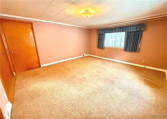 spare room featuring carpet and ornamental molding