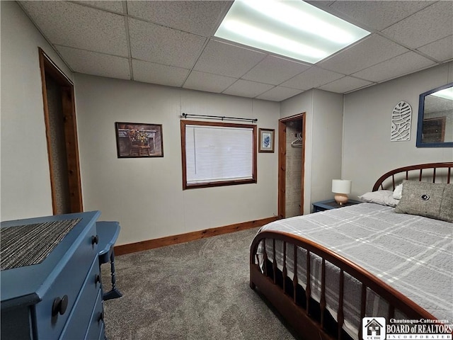 carpeted bedroom featuring a drop ceiling