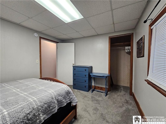 bedroom with a paneled ceiling, light carpet, and a closet