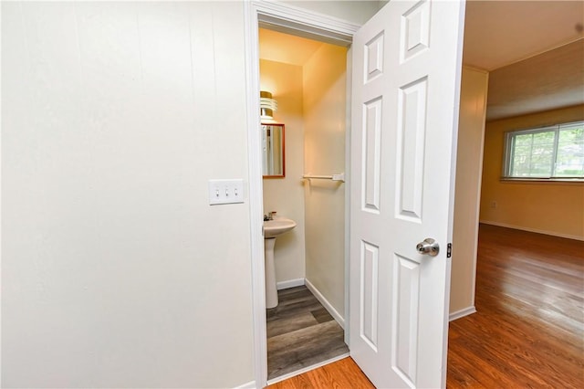 hallway featuring wood-type flooring