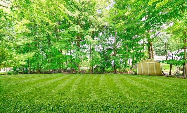 view of yard featuring a storage unit