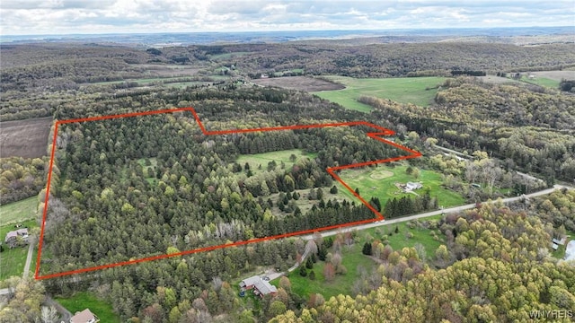 V/L Burns Hill Rd, Ashford NY, 14171 land for sale