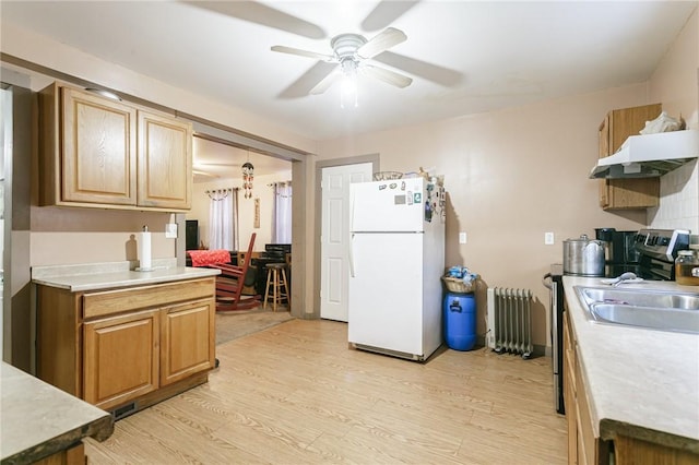 kitchen with ceiling fan, radiator heating unit, sink, white fridge, and light wood-type flooring