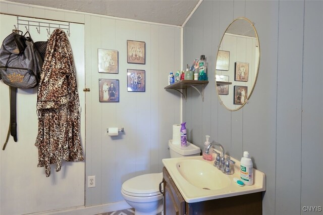 43804 Second St, Alexandria, NY 13679 - half bathroom featuring vanity, toilet, and a decorative wall