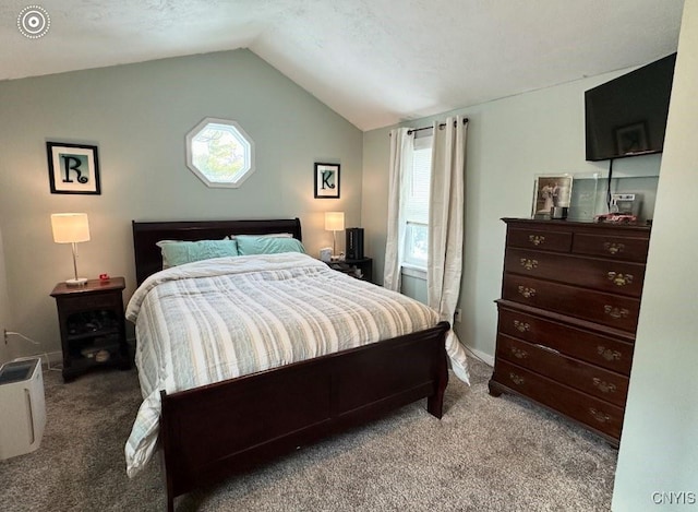 43804 Second St, Alexandria, NY 13679 - bedroom with carpet floors, multiple windows, and lofted ceiling