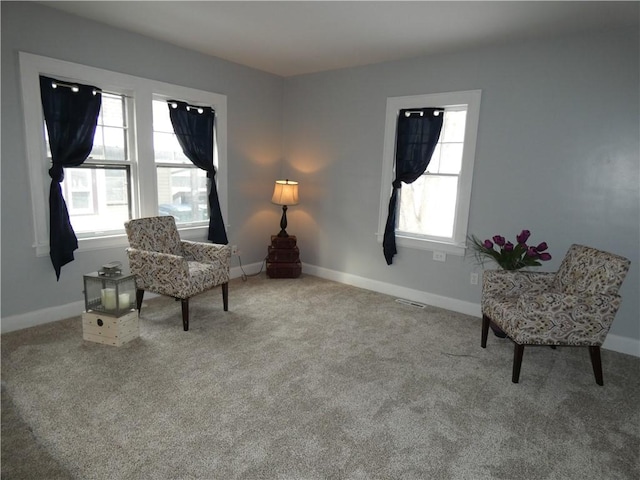 sitting room with carpet floors