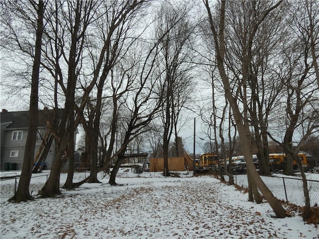 view of yard covered in snow