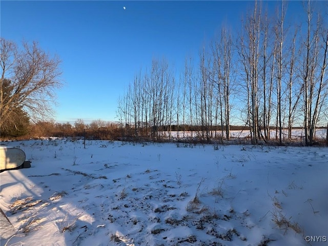 view of yard layered in snow