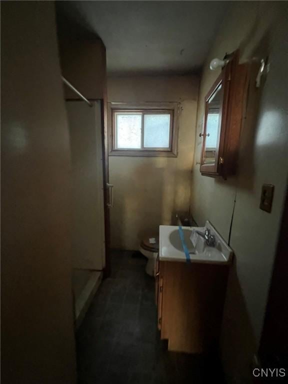 bathroom with vanity, toilet, and walk in shower