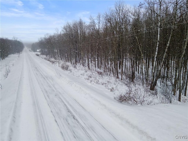 510 Kipp Rd, Parish NY, 13131 land for sale