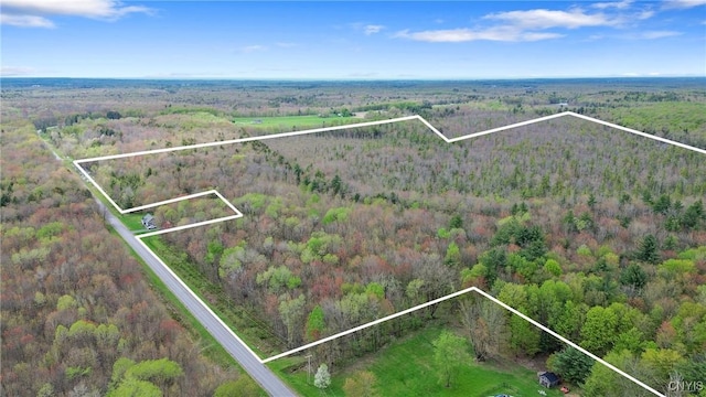 510 Kipp Rd, Parish, NY 13131 - photo 5