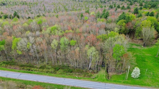 510 Kipp Rd, Parish, NY 13131 - photo 6