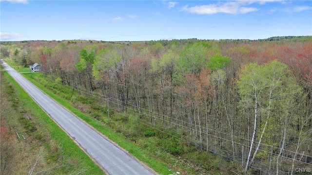 510 Kipp Rd, Parish, NY 13131 - photo 7