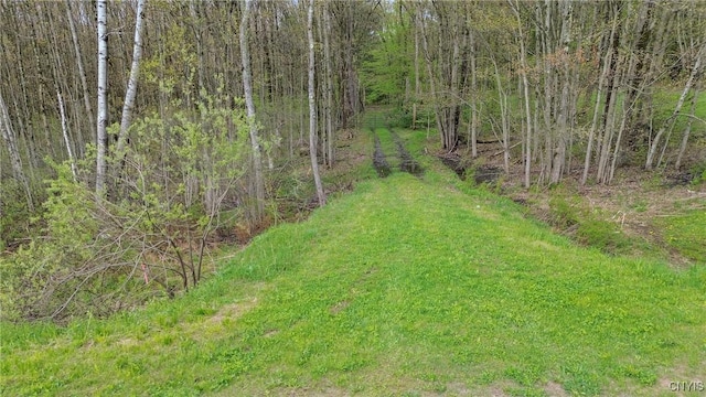 510 Kipp Rd, Parish, NY 13131 - photo 12