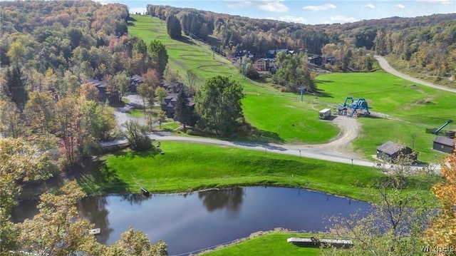 birds eye view of property with a water view and a forest view