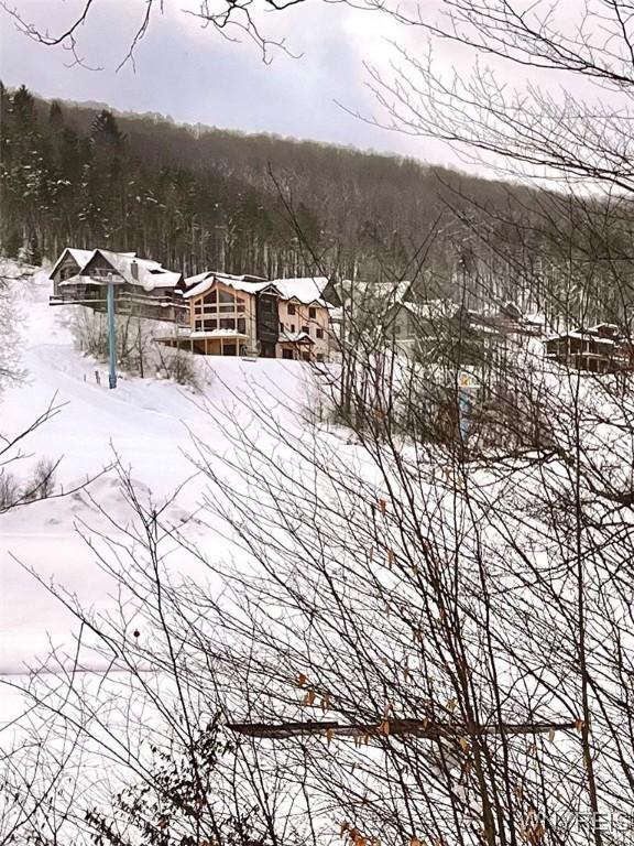 snowy aerial view featuring a wooded view