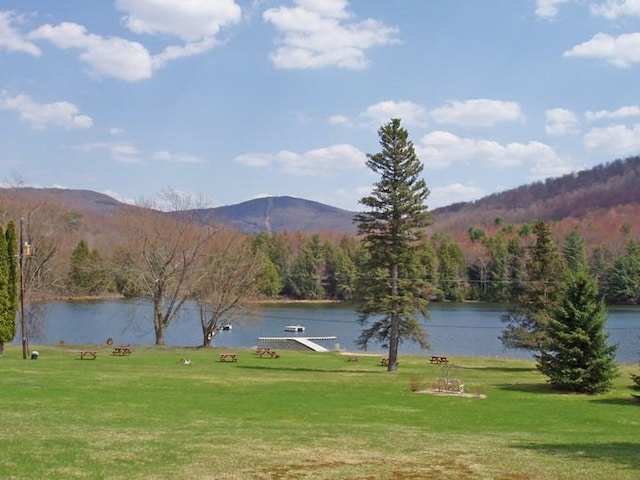 view of community with a water and mountain view and a yard