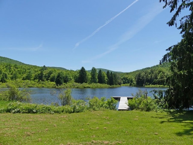 222 Timberland Dr, Andes, NY 13731 - photo 39
