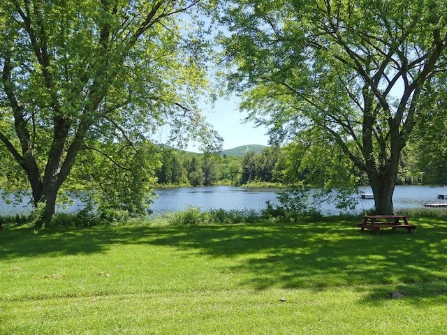 222 Timberland Dr, Andes, NY 13731 - photo 40