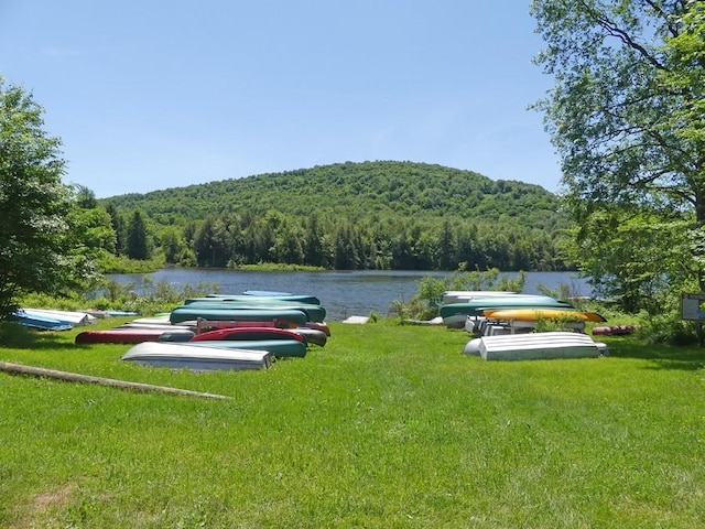 exterior space with a water view and a yard