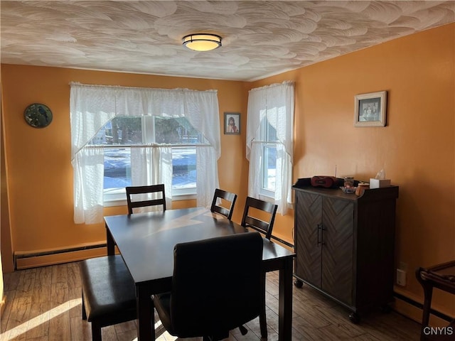 dining room with a baseboard radiator, plenty of natural light, and hardwood / wood-style flooring