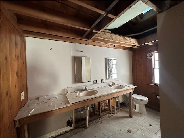 bathroom featuring sink, plenty of natural light, and wooden walls