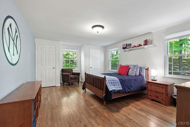 bedroom featuring wood-type flooring and multiple windows