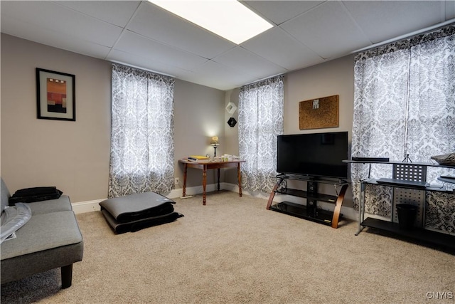 carpeted living room with a paneled ceiling