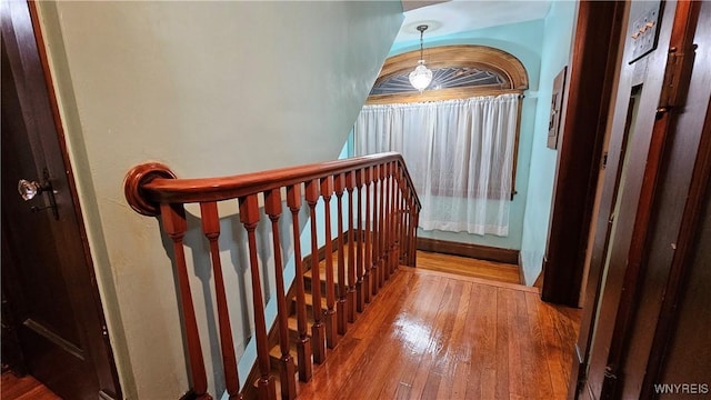 staircase with hardwood / wood-style floors