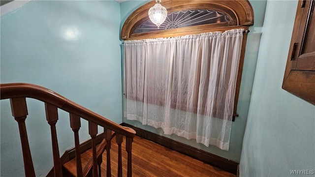 stairway with hardwood / wood-style floors