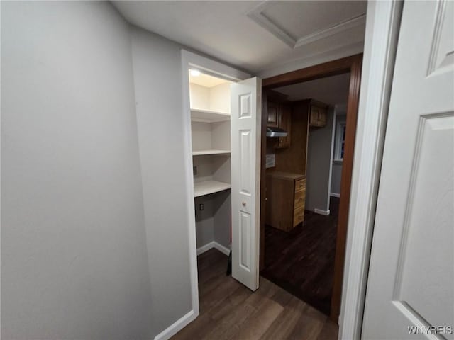 hall featuring dark hardwood / wood-style flooring