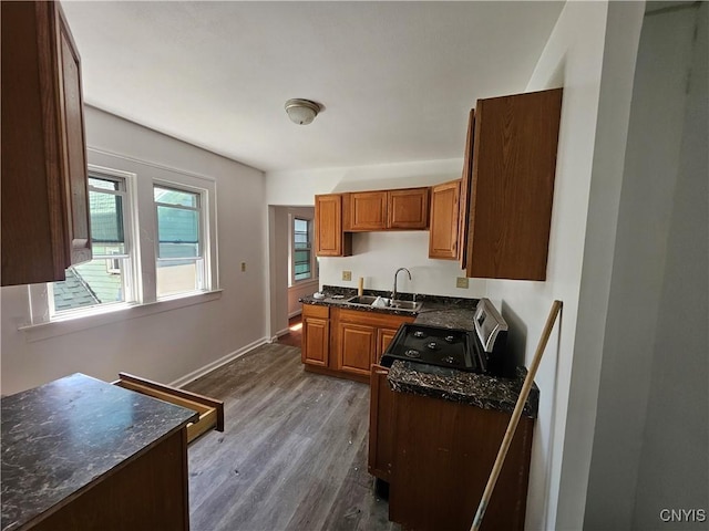 kitchen featuring sink and dark wood-type flooring